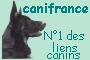 Canifrance : N 1 des liens canins !